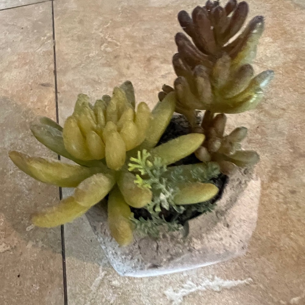 Fake plants